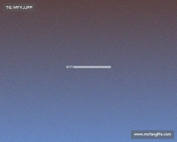 以FIFA世界杯直播运营助理为核心的赛事直播全流程支持与运营